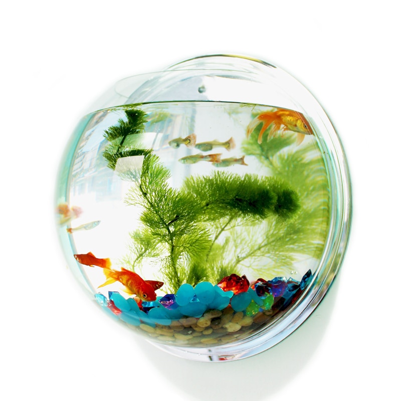 Wall Fish Tank Acrylic Aquarium Wall Fish Tank Acrylic Aquarium