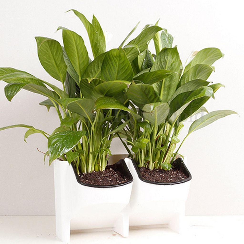Wall Hanging Vertical Garden Pots Wall Hanging Vertical Garden Pots