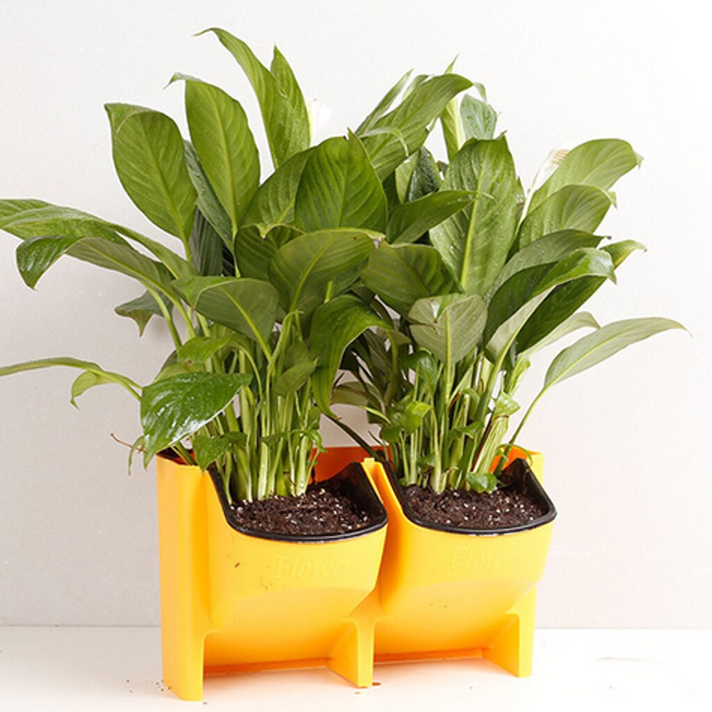 Wall Hanging Vertical Garden Pots Wall Hanging Vertical Garden Pots