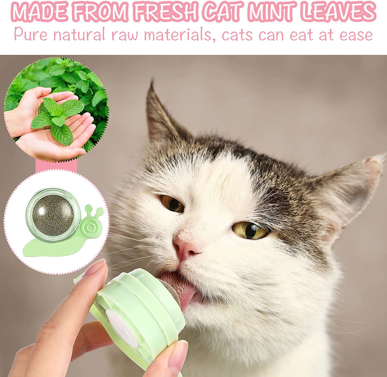Wall Mounted Catnip Lick Ball (2 pcs) Wall Mounted Catnip Lick Ball (2 pcs)