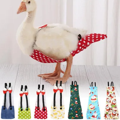 Washable and Reusable Goose Diaper