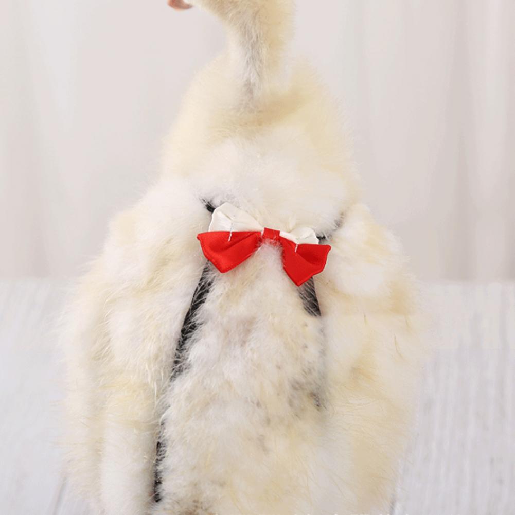 Washable and Reusable Goose Diaper
