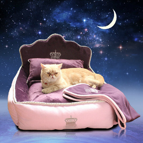 Washable Luxury And Fancy Elevated Pet Beds Washable Luxury And Fancy Elevated Pet Beds