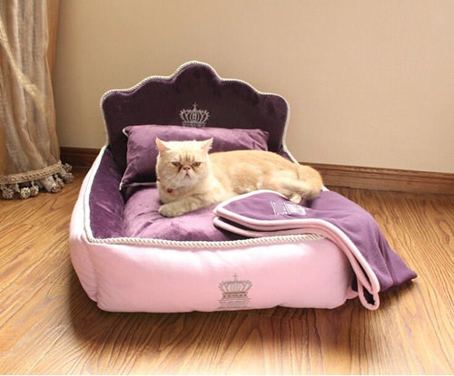 Washable Luxury And Fancy Elevated Pet Beds