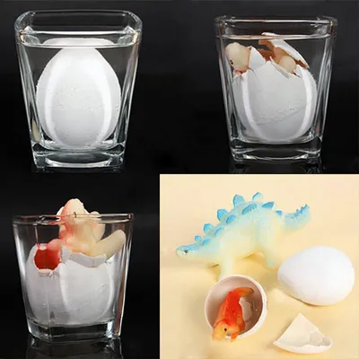 Water Hatching Dinosaur Egg Toy (Set of 5)