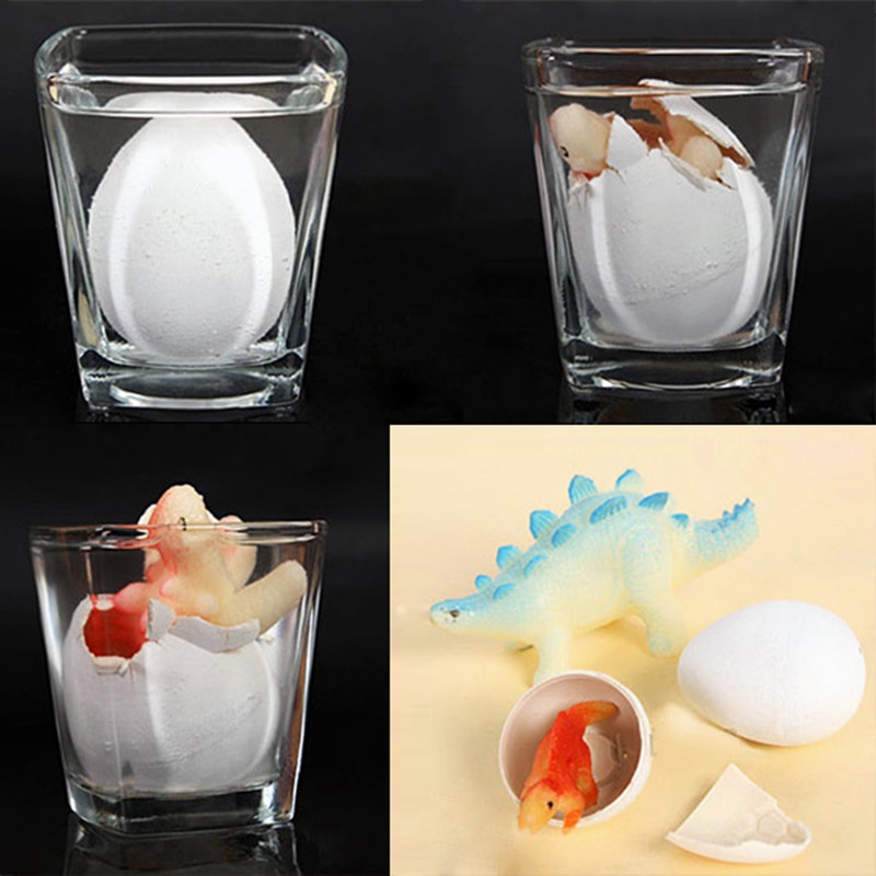 Water Hatching Dinosaur Egg Toy (Set of 5)
