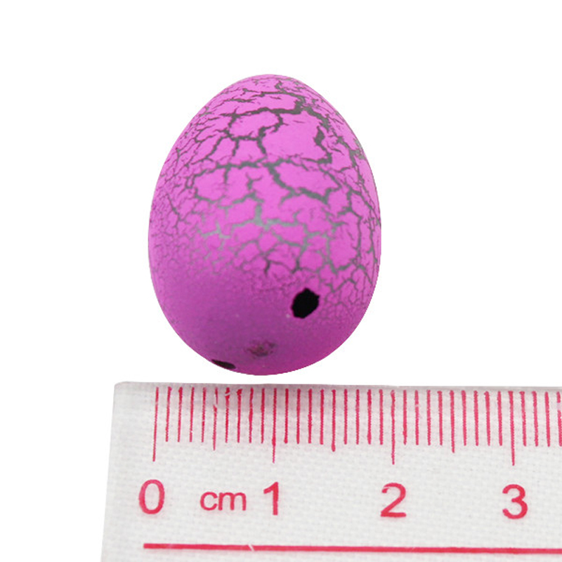 Water Hatching Dinosaur Egg Toy (Set of 5)