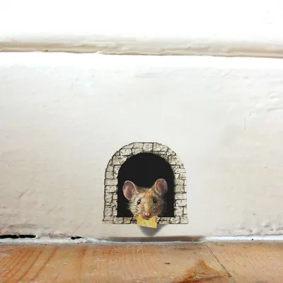 Waterproof 3D Mouse Hole Decal