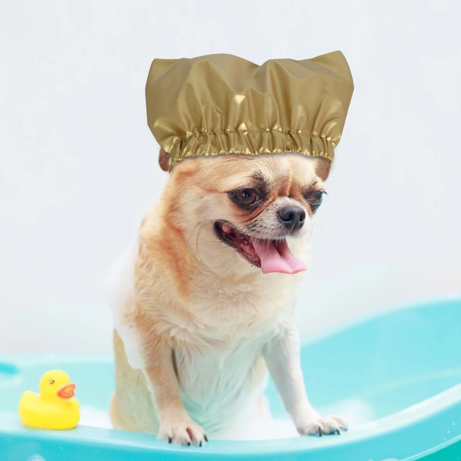 Waterproof Cat Shower Cap Dog Shower Cap Adjustable Cat Bath Hats Universal Pet Hat Pet Grooming Supplies Waterproof Cat Shower Cap Dog Shower Cap Adjustable Cat Bath Hats Universal Pet Hat Pet Grooming Supplies