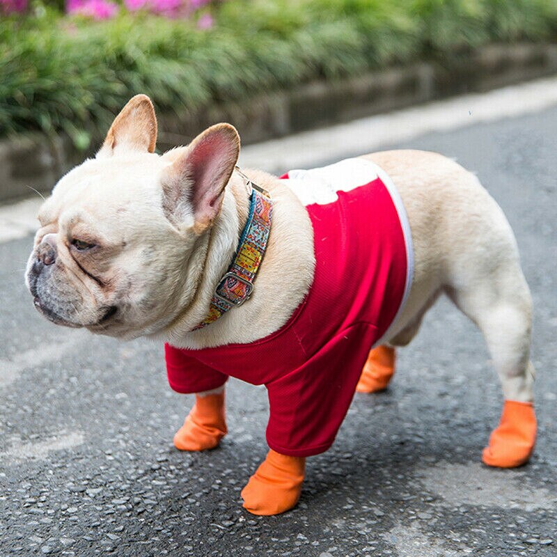 Waterproof Dog Socks Pet Shoes (4 pcs) Waterproof Dog Socks Pet Shoes (4 pcs)