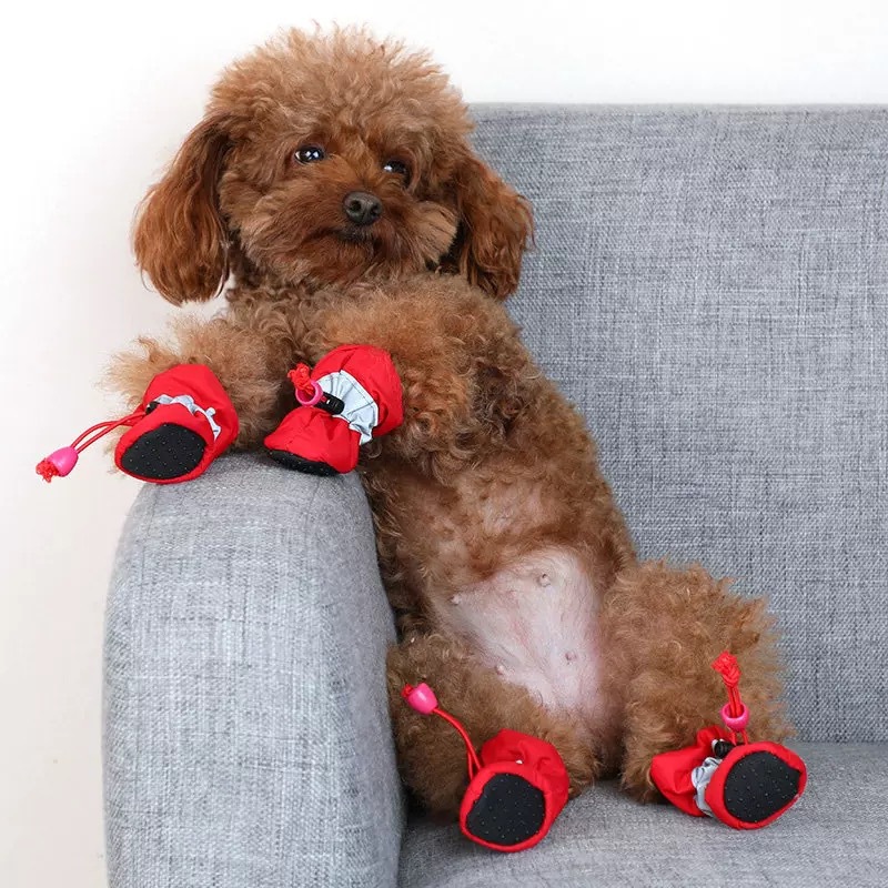 Waterproof Pet Dog Shoes Chihuahua Anti-slip Rain Boots Footwear For Small Cats Dogs Puppy Dog Pet Booties Waterproof Pet Dog Shoes Chihuahua Anti-slip Rain Boots Footwear For Small Cats Dogs Puppy Dog Pet Booties