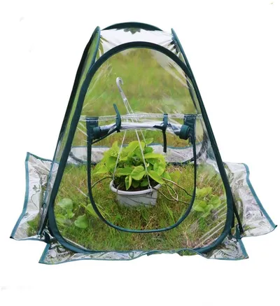 Weatherproof Pop Up Greenhouse Tent