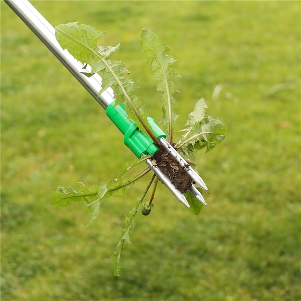 Weed Digger Tool Grass Remover Stick Weed Digger Tool Grass Remover Stick