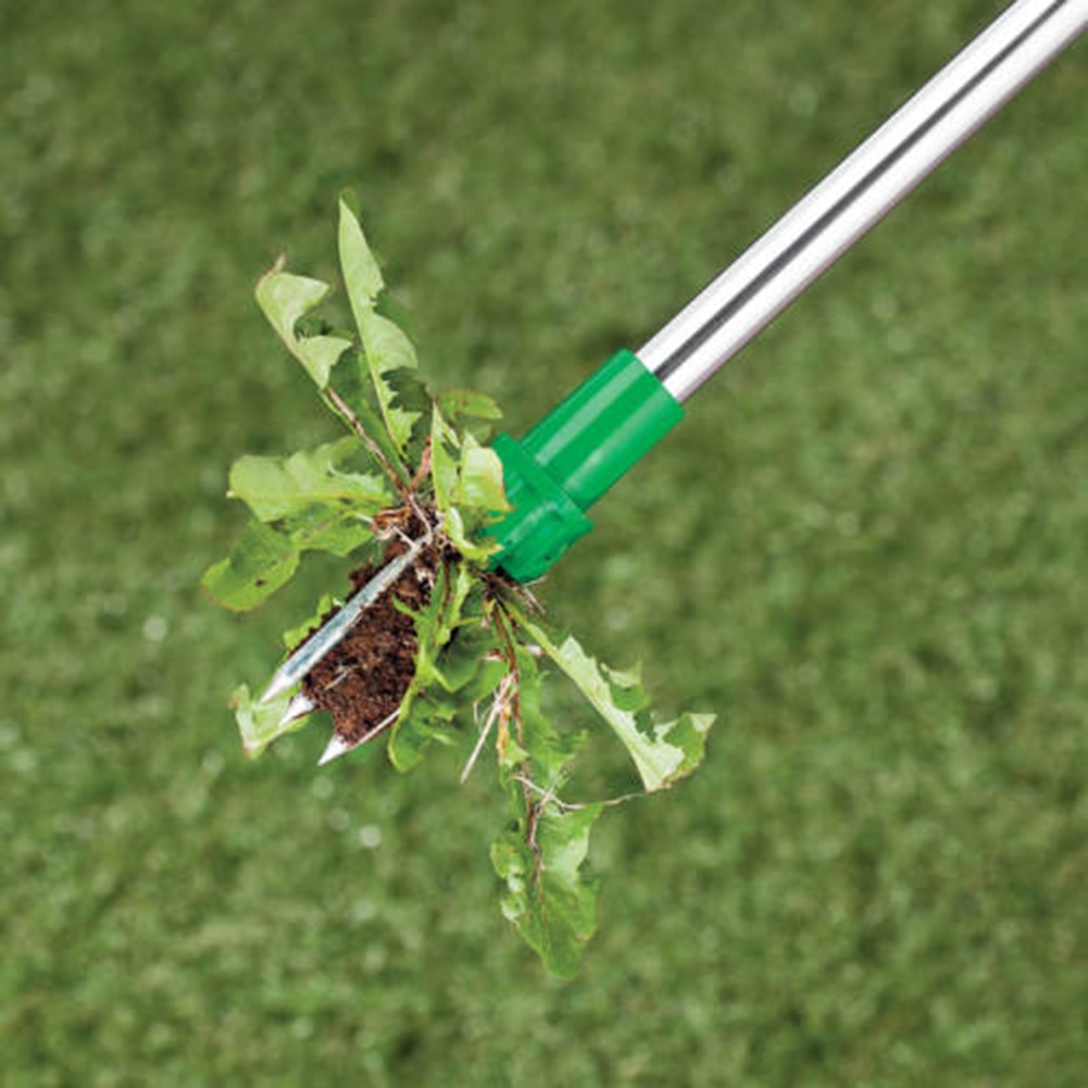 Weed Digger Tool Grass Remover Stick Weed Digger Tool Grass Remover Stick