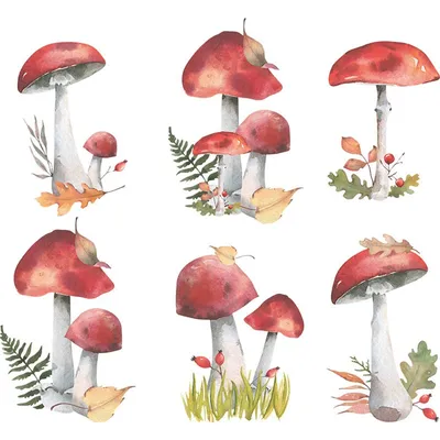 Whimsical PVC Mushroom Wall Stickers Whimsical PVC Mushroom Wall Stickers