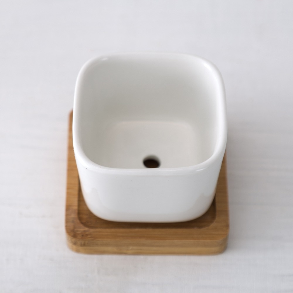 White Ceramic Pots Gardening Set (2pcs) White Ceramic Pots Gardening Set (2pcs)