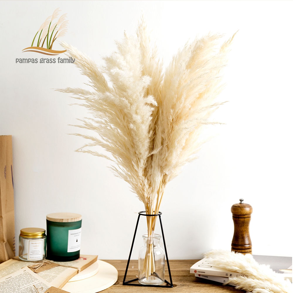 White Pampas Grass Decoration (10pcs) White Pampas Grass Decoration (10pcs)