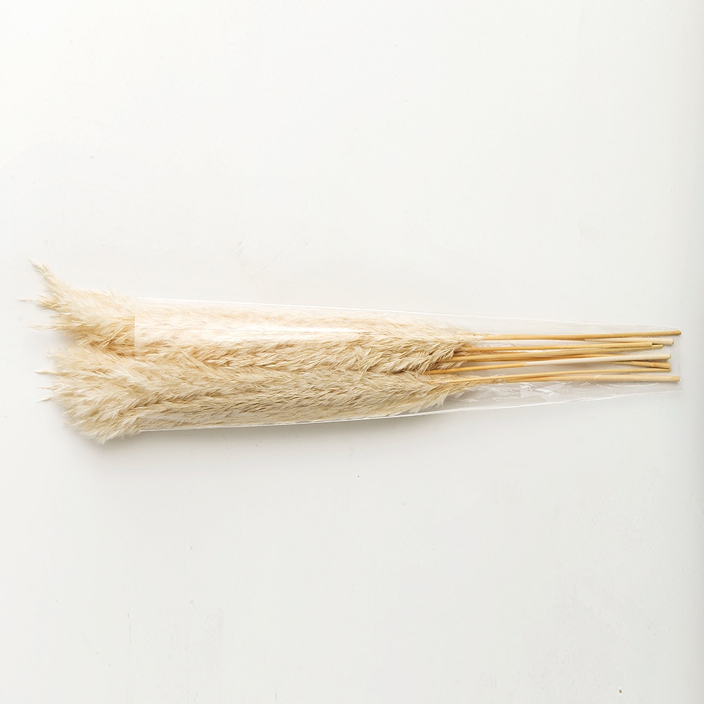 White Pampas Grass Decoration (10pcs) White Pampas Grass Decoration (10pcs)