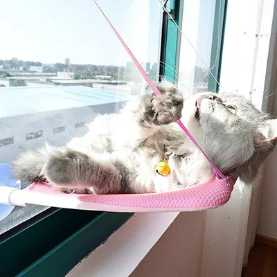 Window Cat Bed Suction Cup Hammock Window Cat Bed Suction Cup Hammock