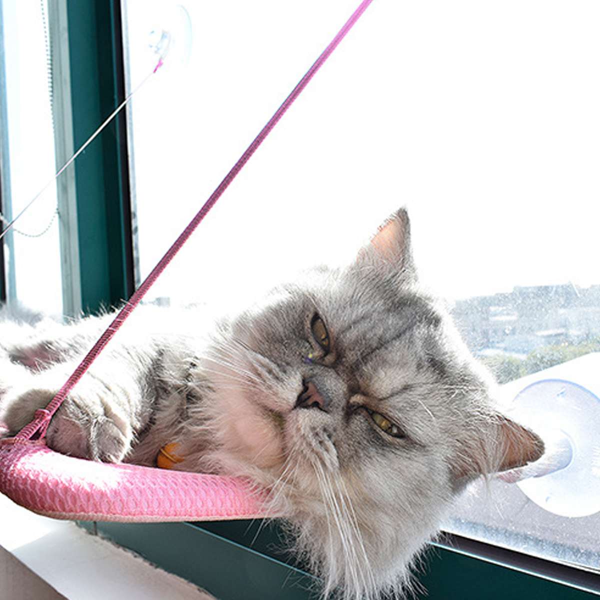 Window Cat Bed Suction Cup Hammock Window Cat Bed Suction Cup Hammock