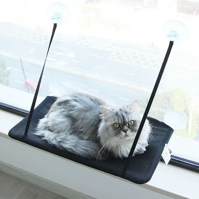 Window Suction Cup Cat Hammock Window Suction Cup Cat Hammock