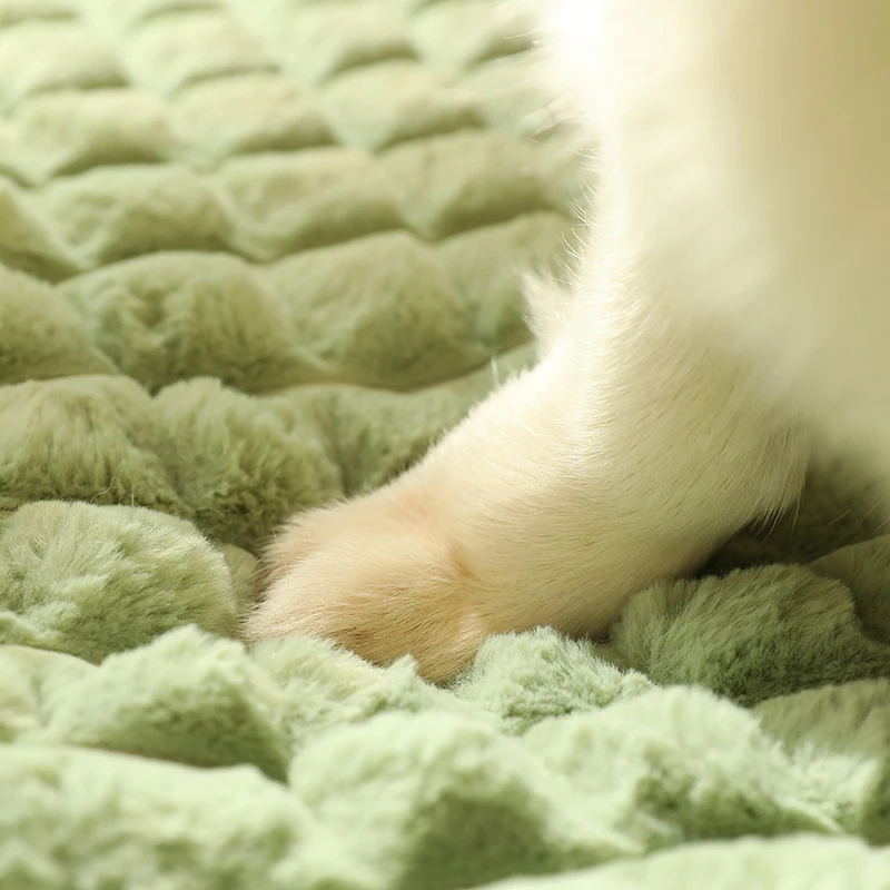 Winter Warm Dog Mat Luxury Sofa for Small Medium Dogs Plaid Bed for Cats Dogs Fluff Sleeping Removable Washable Pet Beds Winter Warm Dog Mat Luxury Sofa for Small Medium Dogs Plaid Bed for Cats Dogs Fluff Sleeping Removable Washable Pet Beds