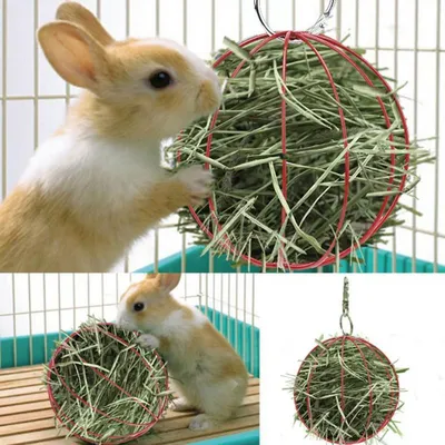 Wire Hay Ball Feeder Wire Hay Ball Feeder