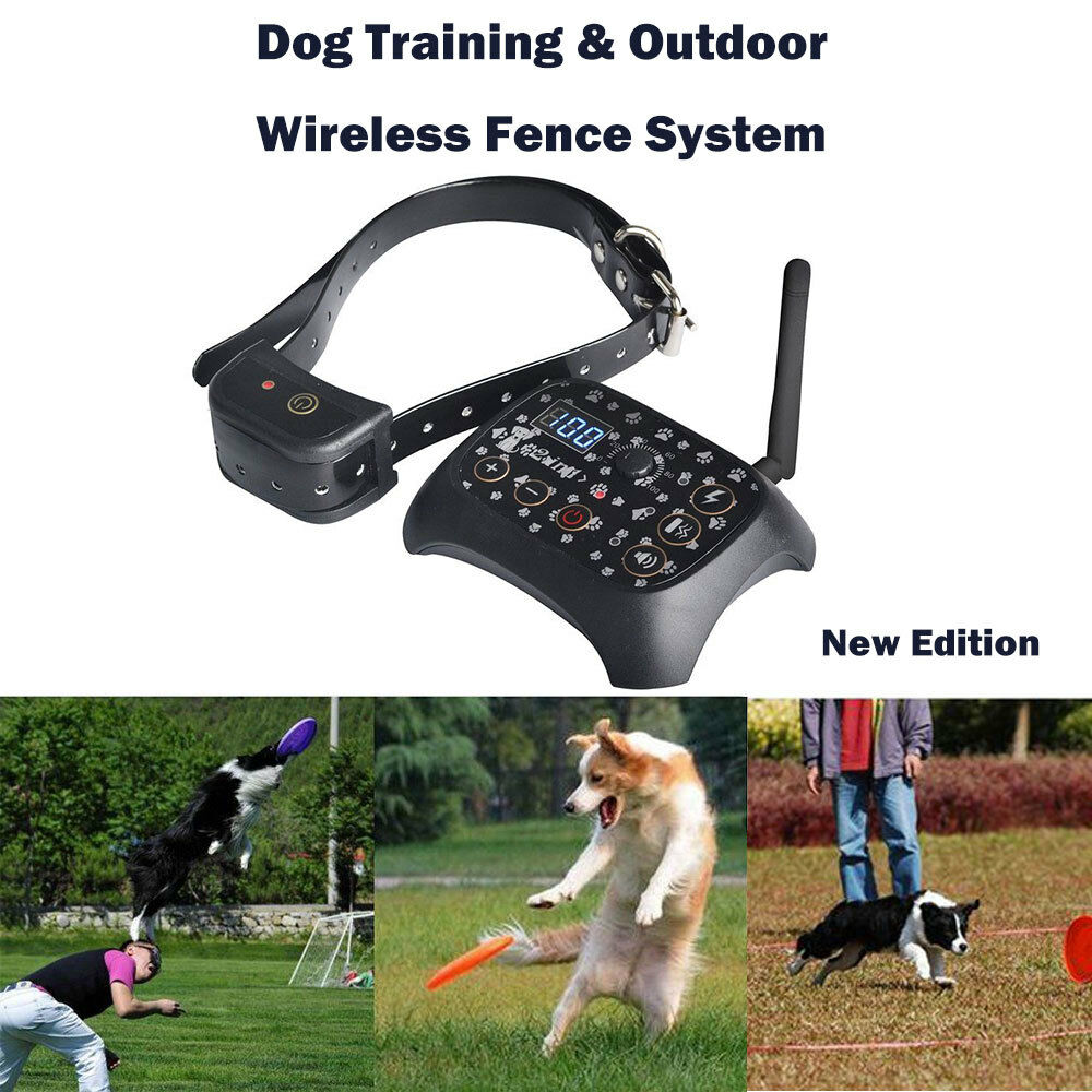 Wireless Dog Fence Collar and Controller Wireless Dog Fence Collar and Controller