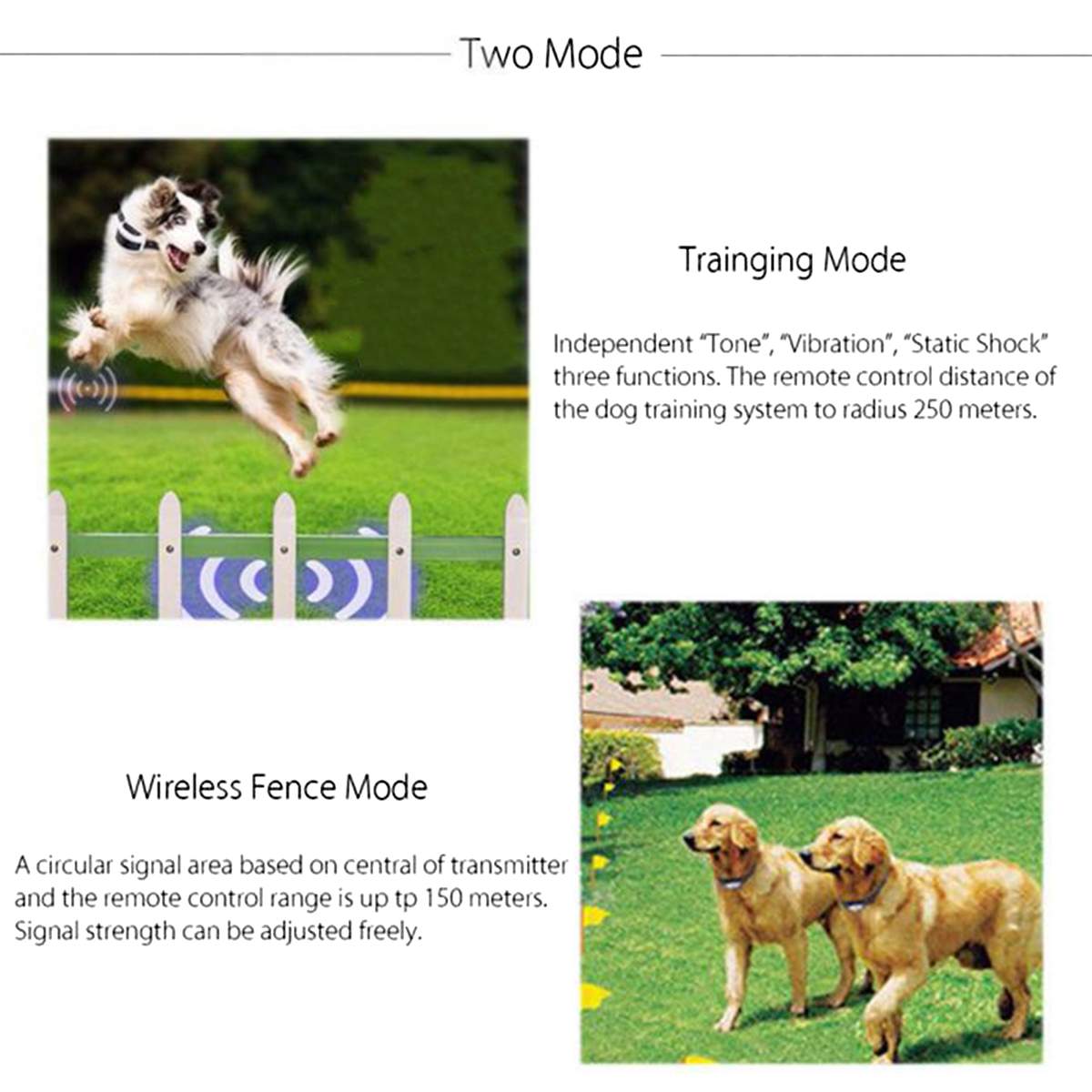 Wireless Dog Fence Collar and Controller Wireless Dog Fence Collar and Controller