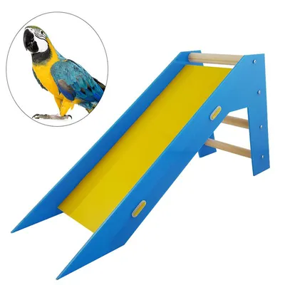 Wooden Bird Slide Training Toy Wooden Bird Slide Training Toy