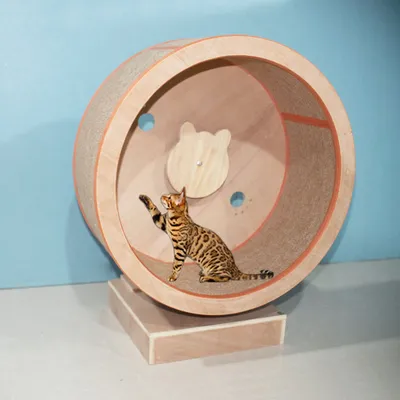 Wooden Cat Treadmill Wheel