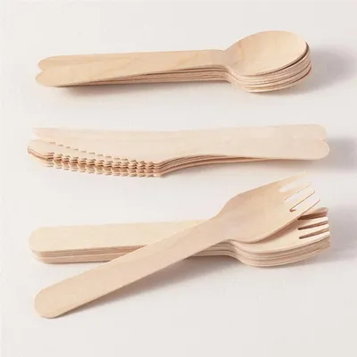 Wooden Disposable Utensils (12pcs)