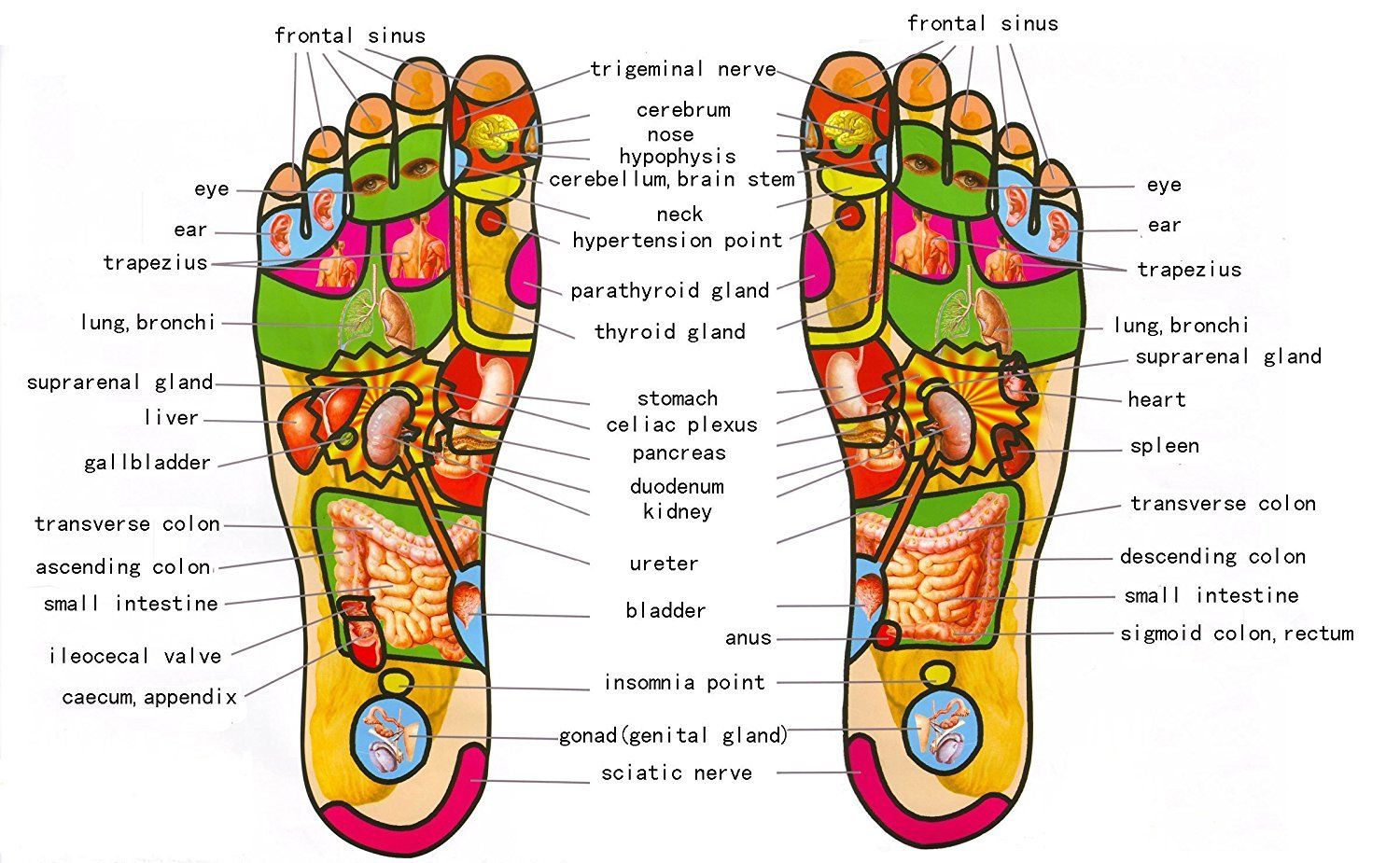 Wooden Foot Roller Massager Wooden Foot Roller Massager