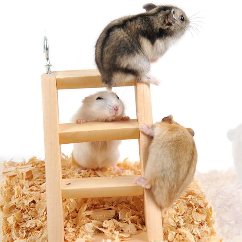 Wooden Guinea Pig Stairs with Hooks Wooden Guinea Pig Stairs with Hooks