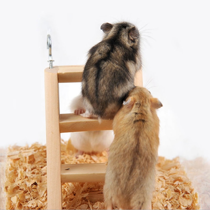 Wooden Guinea Pig Stairs with Hooks Wooden Guinea Pig Stairs with Hooks