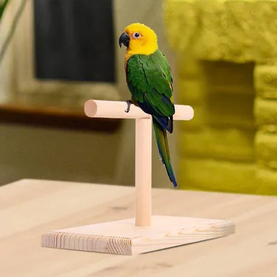 Wooden Parrot Training Perch Wooden Parrot Training Perch