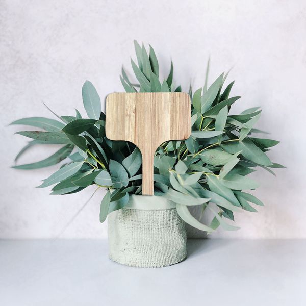 Wooden Plant Labels Garden Tags (50pcs) Wooden Plant Labels Garden Tags (50pcs)