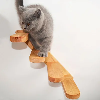 Wooden Wall Mount Cat Ladder Wooden Wall Mount Cat Ladder
