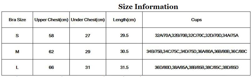 Workout Bra Seamless Padded Sports Bra Workout Bra Seamless Padded Sports Bra
