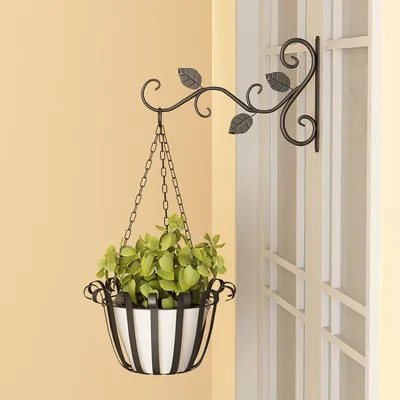 Wrought Iron Plant Hanger Wrought Iron Plant Hanger